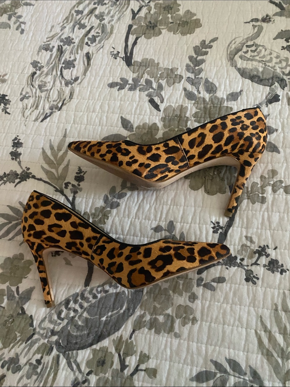 Leopard Print Pointed-Toe Stiletto Pumps - Brown/Black